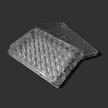 Vidro placas de Petri Experimental Célula Bacteriana Compartimentos Bacteriana Placa de Cultura Estéril, Pacote com 48 buracos